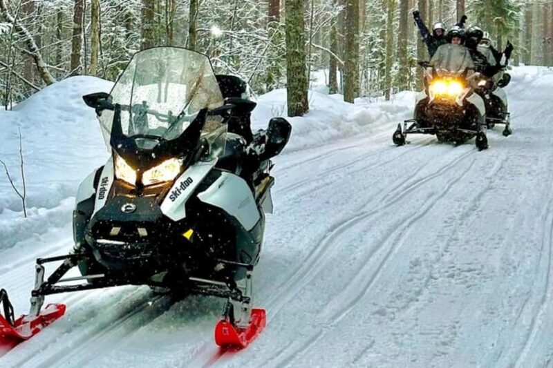 Rovaniemi: Snowmobile Safari to the Wilderness - Flexibility and Cancellation Policies