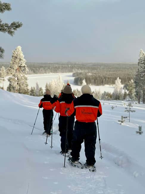 Rovaniemi: Snowshoe trip to meet reindeer - Snowshoeing Through Lapland’s Secluded Forests and Snowy Trees