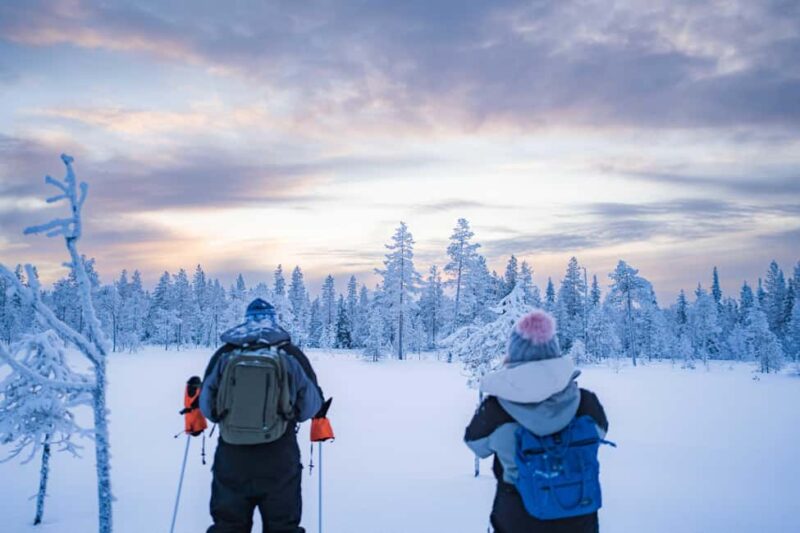 Rovaniemi: Snowshoe Wilderness Adventure - Key Points