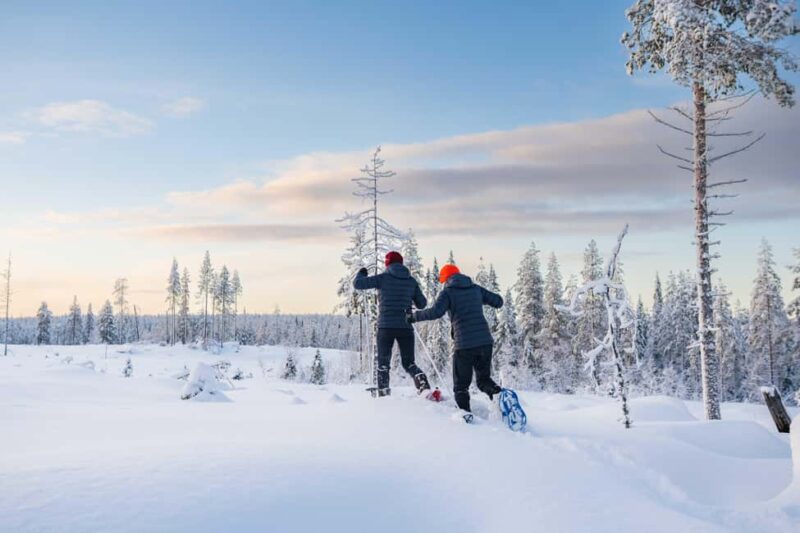 Rovaniemi: Snowshoe Wilderness Adventure - Experience the Arctic Wilderness on Snowshoes in Rovaniemi