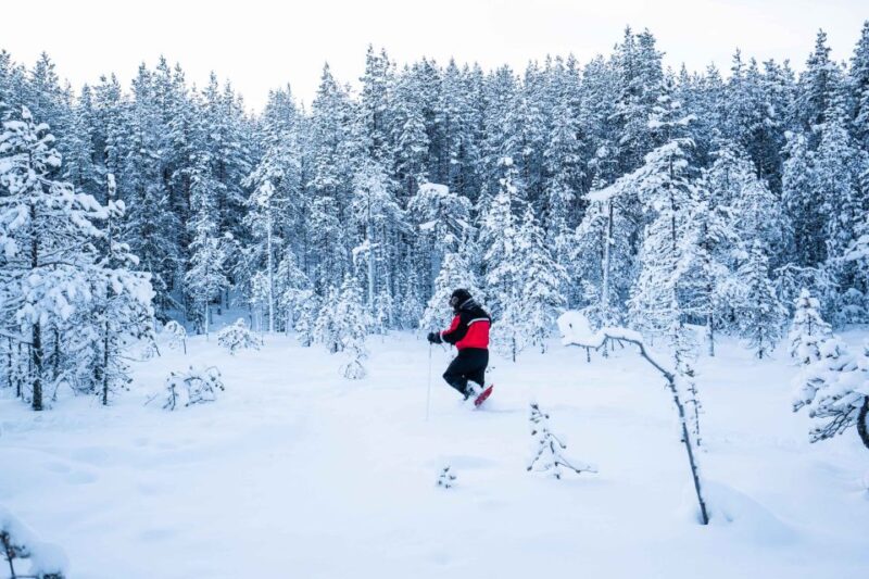 Rovaniemi: Snowshoe Wilderness Adventure - Photograph the Arctic Landscape with Expert Tips