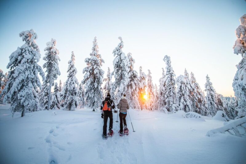 Rovaniemi: Snowshoe Wilderness Adventure - Practical Details and Group Size
