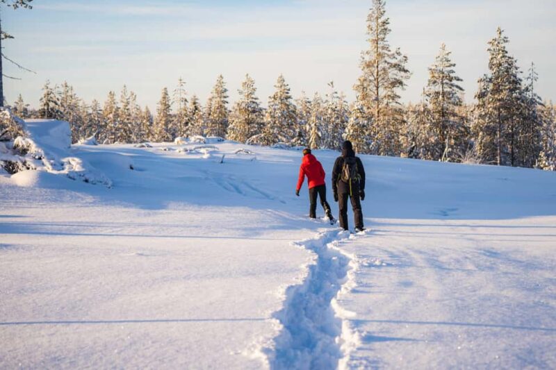 Rovaniemi: Snowshoe Wilderness Adventure - Physical Requirements and Equipment
