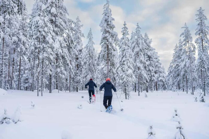 Rovaniemi: Snowshoe Wilderness Adventure - Rovaniemi: Snowshoe Wilderness Adventure – Who Will Love It?
