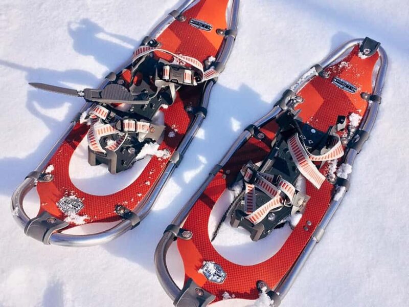 Rovaniemi: Snowshoeing, Ice Fishing and Salmon in Kota - Finnish Culinary Skills in a Cozy KOTA Hut