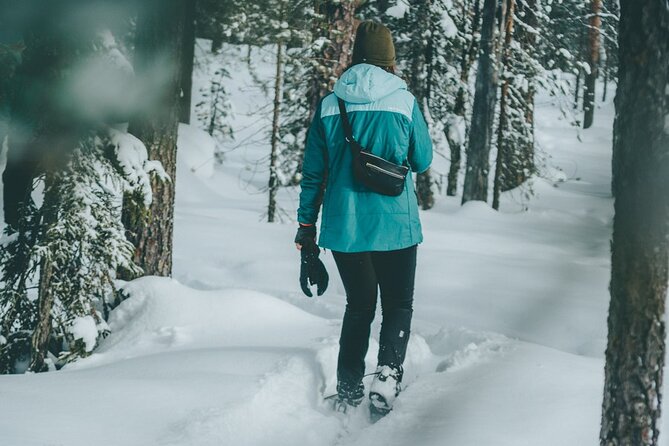 Rovaniemi: Snowshoeing in a magical snowy forest - Key Points