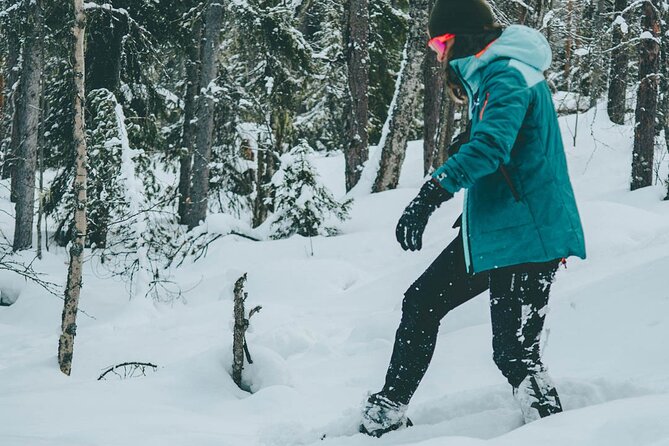 Rovaniemi: Snowshoeing in a magical snowy forest - Practical Tips for Participants