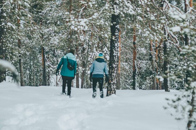 Rovaniemi: Snowshoeing in a magical snowy forest - Why Choose This Snowshoeing Tour in Rovaniemi