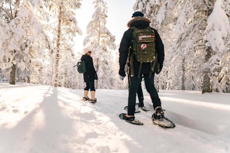 Rovaniemi: Snowshoeing in the Arctic Wilderness - Discover the Arctic Wilderness with Guided Snowshoeing in Lapland