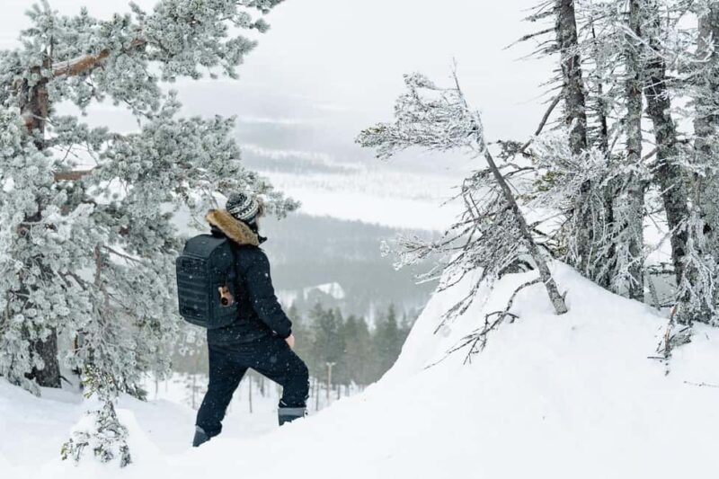 Rovaniemi: Snowshoeing in the Arctic Wilderness - Key Points