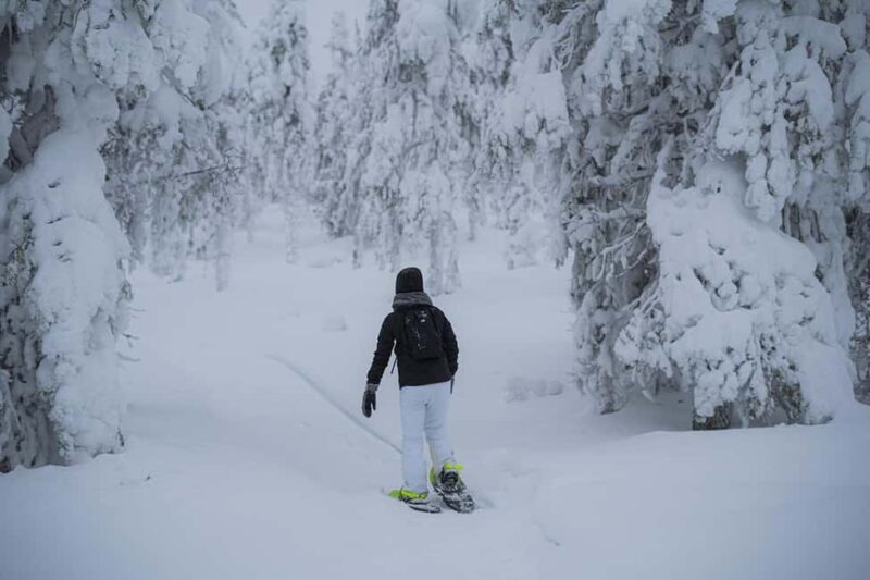 Rovaniemi: Snowshoeing in the Frozen Forest - Suitability and Accessibility Considerations