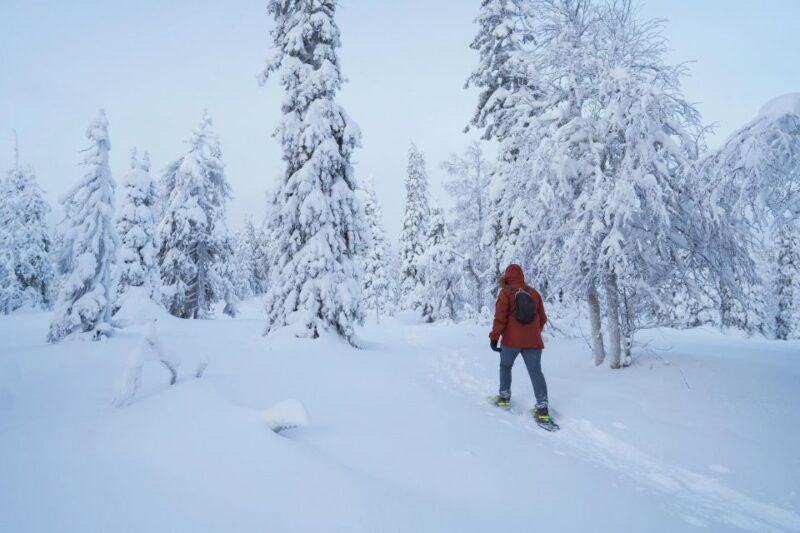 Rovaniemi: Snowshoeing in the Frozen Forest - Comparing to Similar Arctic Adventures