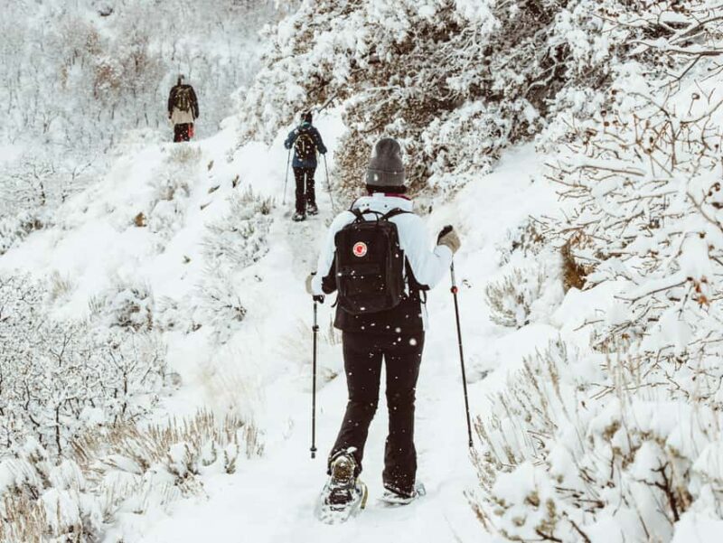 Rovaniemi: Snowshoeing Tour with Wild Lunch and Hotel Pickup - Comparing This Tour to Similar Arctic Adventures