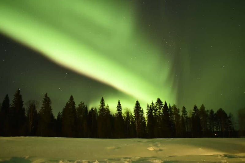 Rovaniemi: Snowtrain to Northern Lights Camp - The Hidden Lappish Hut and Campfire Experience