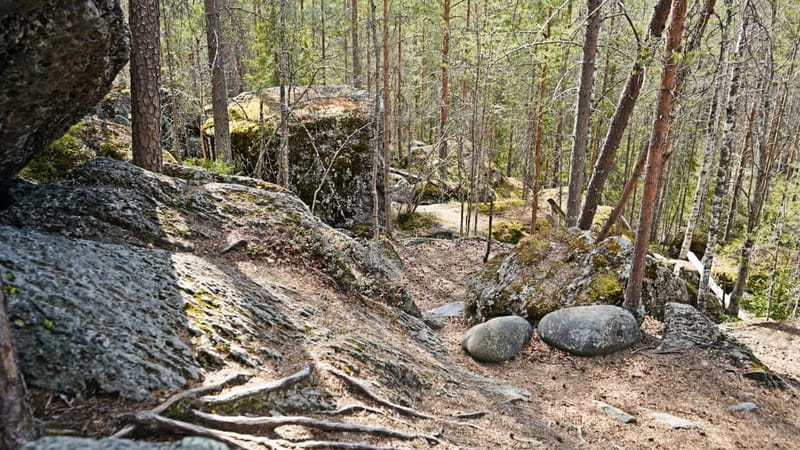 Rovaniemi: Sukulanrakka & Devil's Churns Tour - What to Bring for the Sukulanrakka Tour