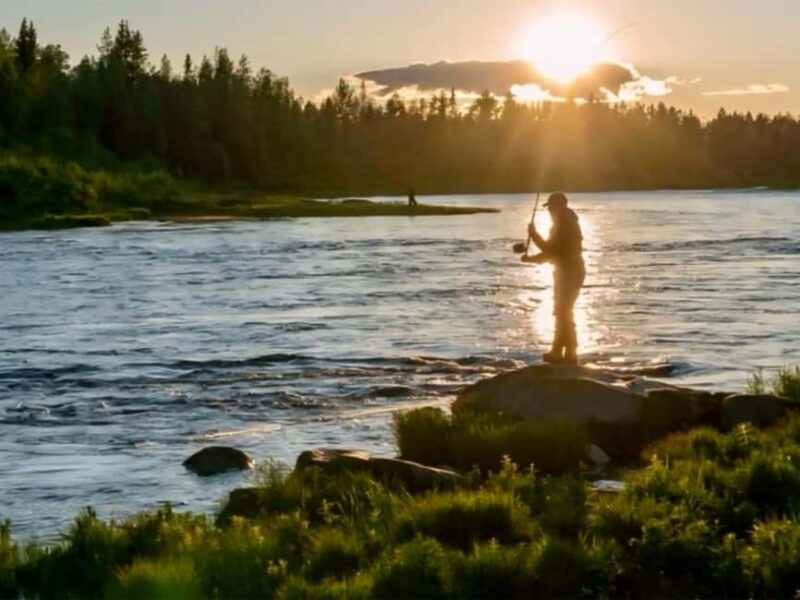 Rovaniemi: Summer & Autumn Fishing Tour in Lapland & BBQ - Key Points