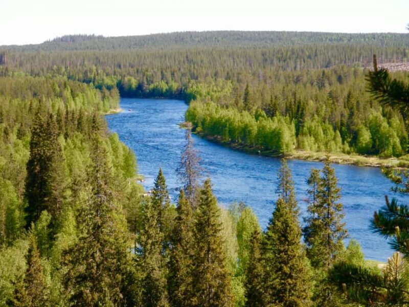 Rovaniemi: Summer & Autumn Fishing Tour in Lapland & BBQ - The Wilderness BBQ and Warm Drinks: A True Lapland Tradition