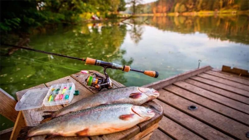 Rovaniemi: Summer & Autumn Fishing Tour in Lapland & BBQ - Frequently Asked Questions