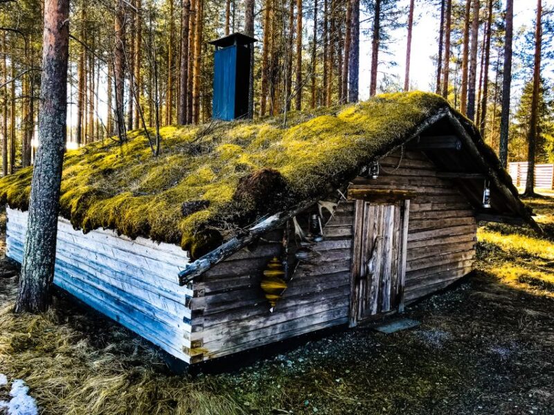 Rovaniemi: Summer Reindeer Farm Experience - Meet the Family-Run Reindeer Farm and Its Caretaker