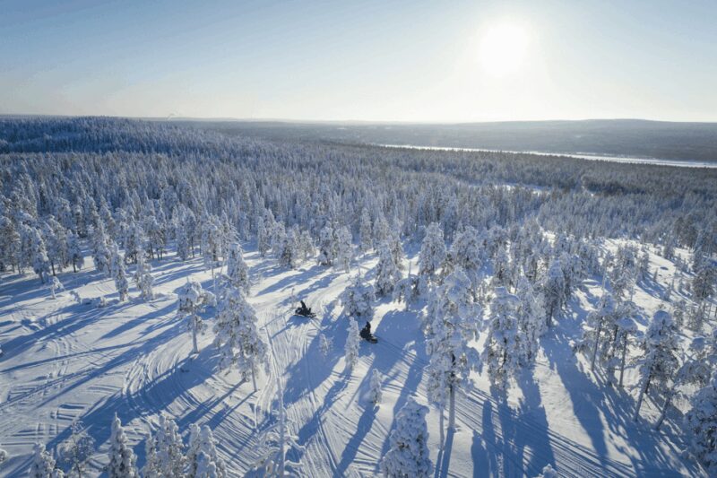 Rovaniemi: Taste of Wilderness Snowmobile Safari - Thrilling Snowmobiling in Rovaniemi’s Arctic Wilderness for $165