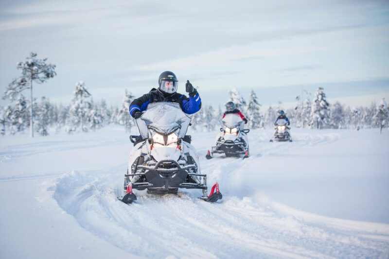 Rovaniemi: Taste of Wilderness Snowmobile Safari - Key Points