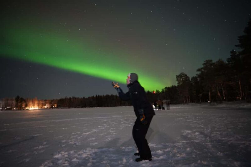 Rovaniemi: The Real Private Northern Lights Hunt - The Price and Booking Flexibility