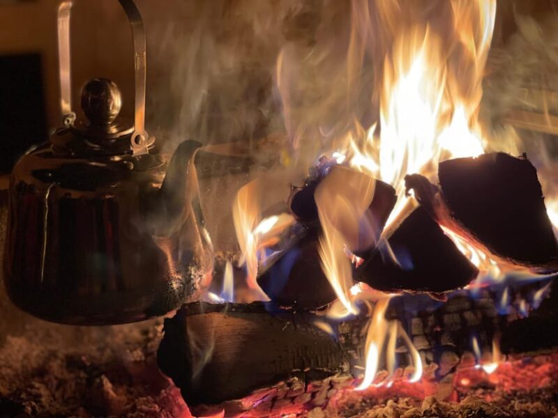 Rovaniemi: Traditional Finnhorse Sleigh Ride at SCV (3km) - Rovaniemi: Traditional Finnhorse Sleigh Ride at SCV (3km)