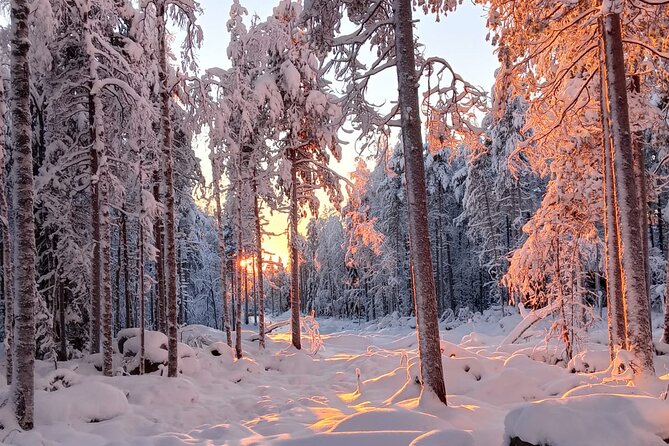 Rovaniemi: Trip to Ranua Zoo with Tickets Included - Realistic Expectations: What Wildlife May Be Seen