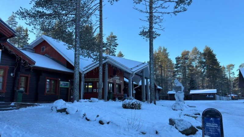 Rovaniemi: trip to the Ranua Zoo (transportation, tickets) - Final Thoughts on the Rovaniemi Ranua Zoo Tour