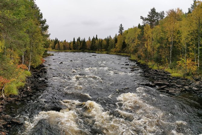 Rovaniemi: Vaattunkiköngäs Nature Trail Hiking Tour - Key Points