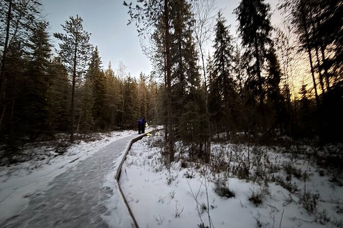 Rovaniemi Vikaköngäs Sightseeing & Photography Tour - The Route from Rovaniemi to Vikaköngäs and Arctic Lakes
