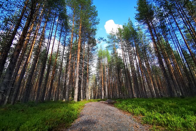 Rovaniemi Vikaköngäs Sightseeing & Photography Tour - Meeting Point and Group Size Dynamics
