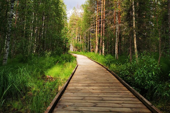 Rovaniemi Vikaköngäs Sightseeing & Photography Tour - Who Will Appreciate This Tour?