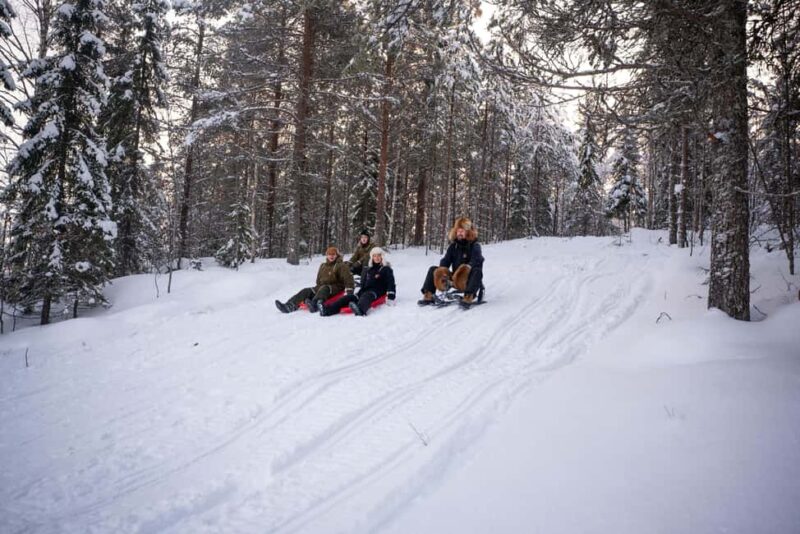 Rovaniemi: Visit Lupland Winter Activity Park at Ranua - Discover the Charm of Lupland Winter Activity Park in Ranua