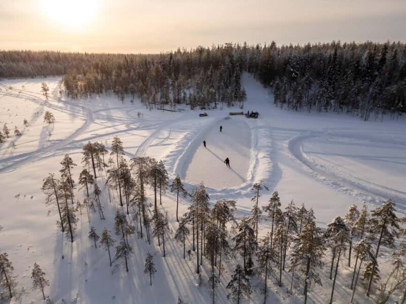 Rovaniemi: Visit Lupland Winter Activity Park at Ranua - Key Points
