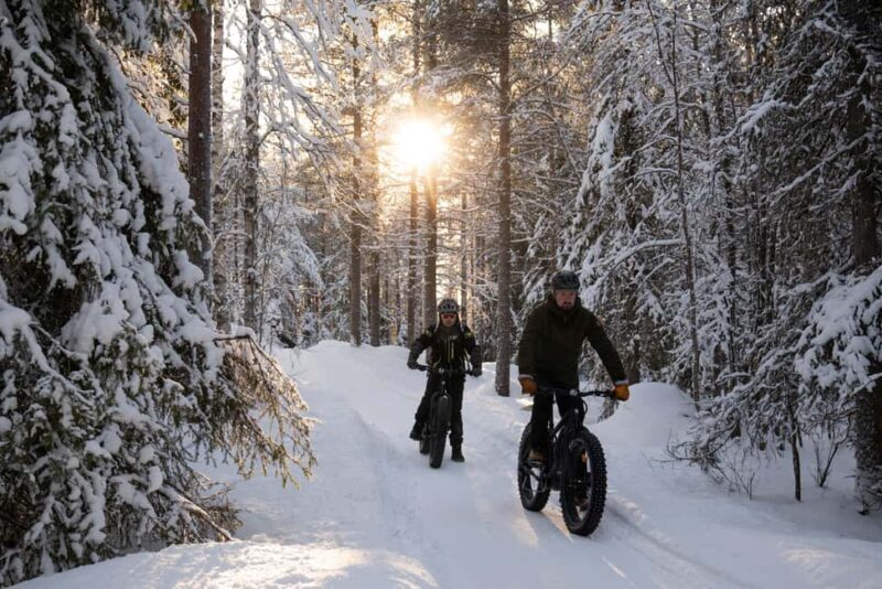 Rovaniemi: Visit Lupland Winter Activity Park at Ranua - Experience a Traditional Finnish Sauna and Ice Bath