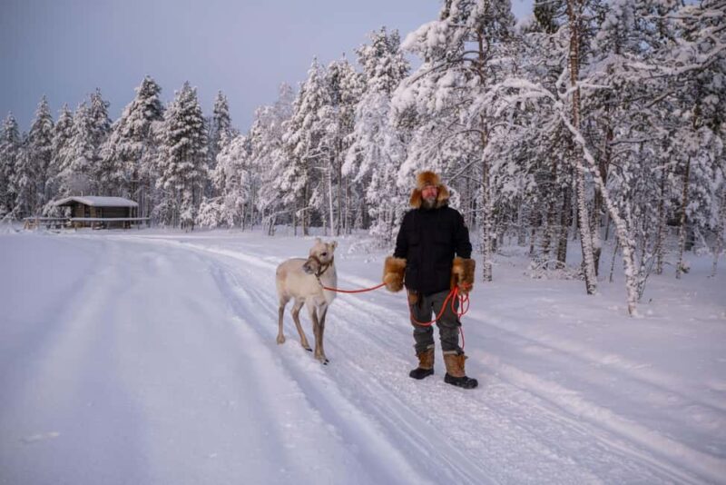 Rovaniemi: Visit Lupland Winter Activity Park at Ranua - The Scenic Setting of Ranua’s Frozen Forests and Lakes