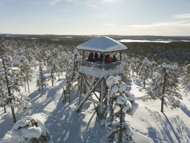 Rovaniemi: Wilderness Tour - Rovaniemi: Wilderness Tour — An Adventurous Look at Laplands Nature