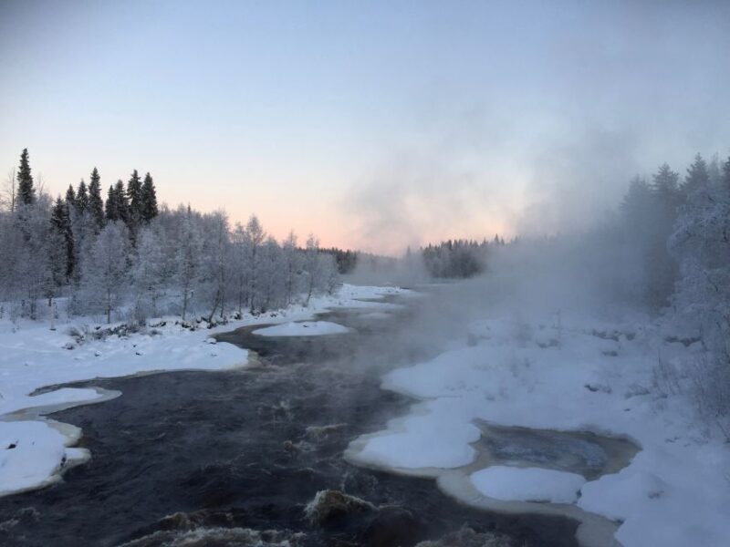 Rovaniemi: Wilderness Tour - Animal Footprints and Wildlife Signs in Winter