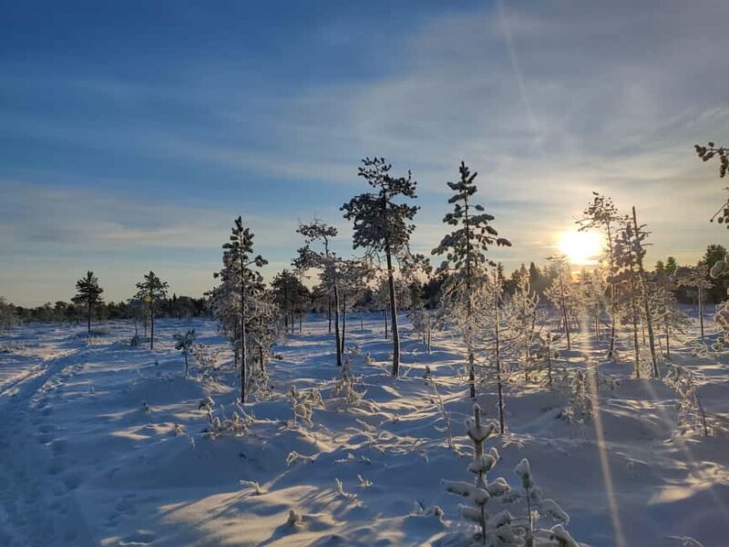 Rovaniemi: Winter Hike and Finnish Sauna Experience - Key Points