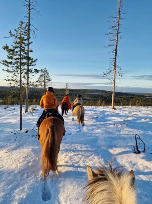 Rovaniemi: Winter Horseback Ride on Snowy Hills and Forests - Key Points