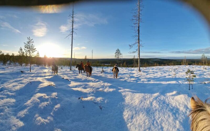 Rovaniemi: Winter Horseback Ride on Snowy Hills and Forests - Experience the Beauty of Snowy Hills on a Guided Horseback Ride in Lapland