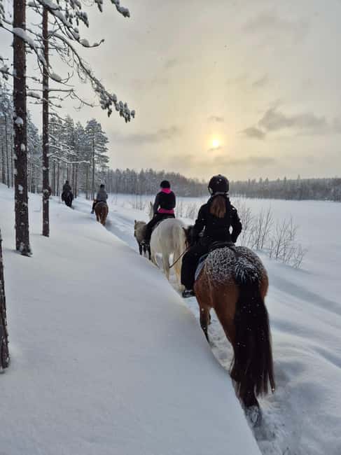 Rovaniemi: Winter Horseback Ride on Snowy Hills and Forests - Meet the Horses and Farm Animals in the Lapland Wilderness