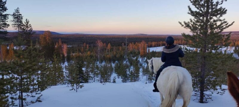 Rovaniemi: Winter Horseback Ride on Snowy Hills and Forests - Comparing This Tour to Other Arctic Activities in Rovaniemi