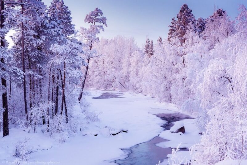 Rovaniemi: Winter Snowshoeing, Reindeer & Husky Sleigh Ride - Discover the Charm of Rovaniemi’s Winter Wilderness for $271