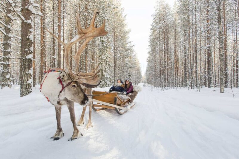 Rovaniemi: Winter Snowshoeing, Reindeer & Husky Sleigh Ride - Exploring Lappish Nature on Snowshoes