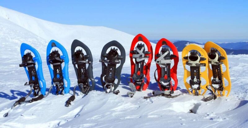 Rovaniemi: Winter Snowshoeing, Reindeer & Husky Sleigh Ride - Practical Details and What to Bring