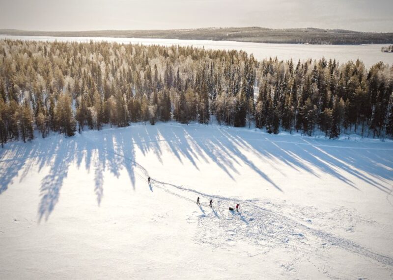 Rovaniemi: Winter Wilderness Snowshoeing Trip - Exploring Lapland’s Arctic Wilderness on Snowshoes