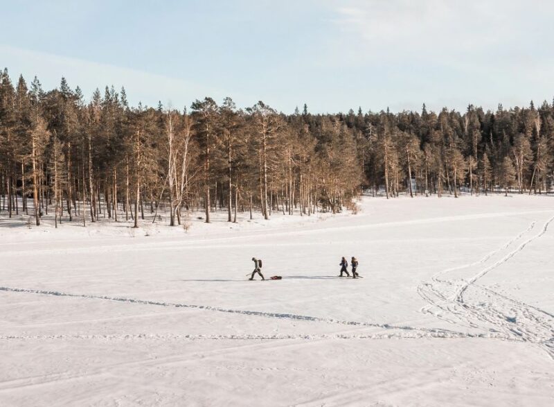 Rovaniemi: Winter Wilderness Snowshoeing Trip - Learning Basic Survival and Fire-Making Skills
