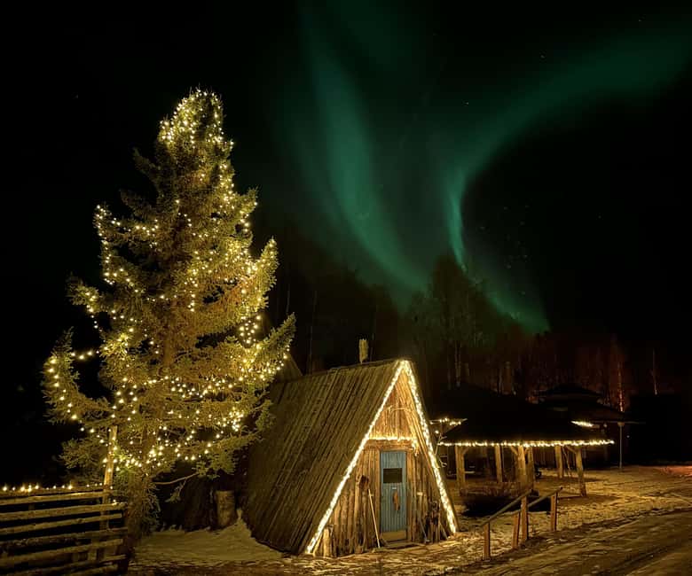 Rovaniemi:Northern Lights Small-Group Tour At Shaman Village - Key Points